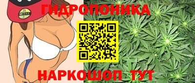 гашик Балахна